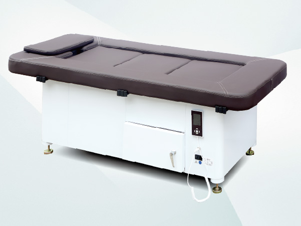 Dual-use multifunctional sweat  steam health bed